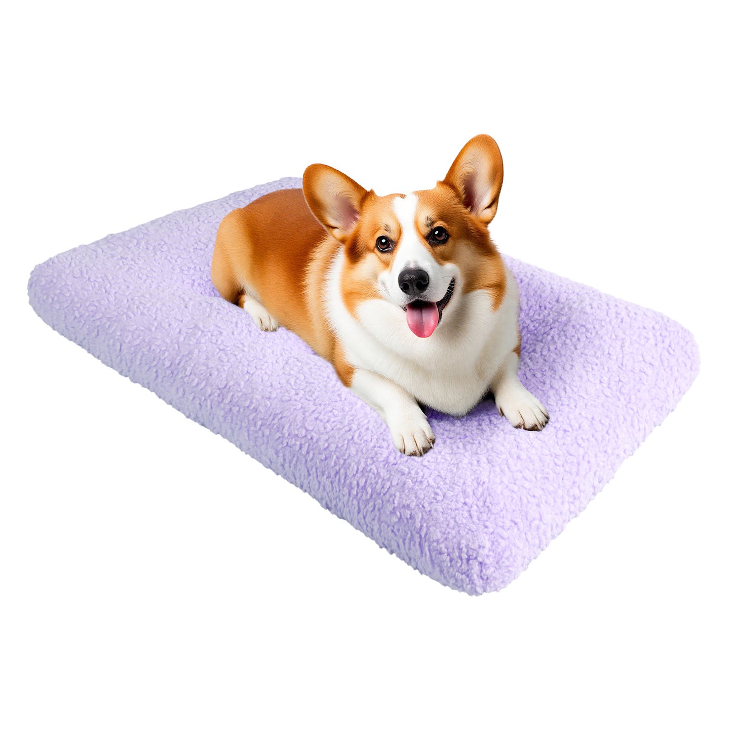 Thick Pet Bed Mattress