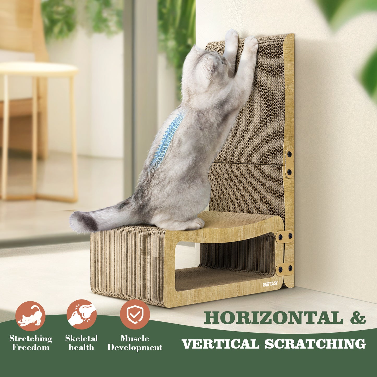 2 in 1 Cat Scratching Board