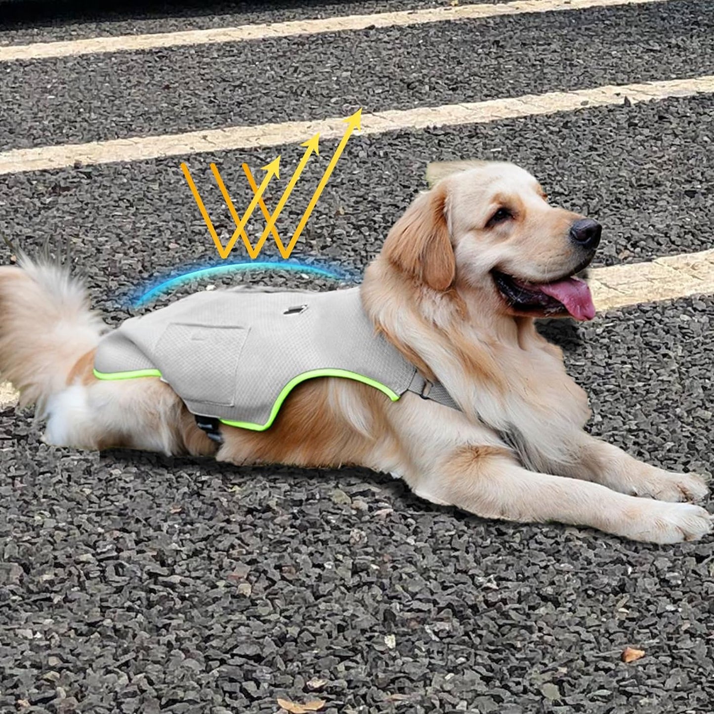 Kühlweste für Hunde
