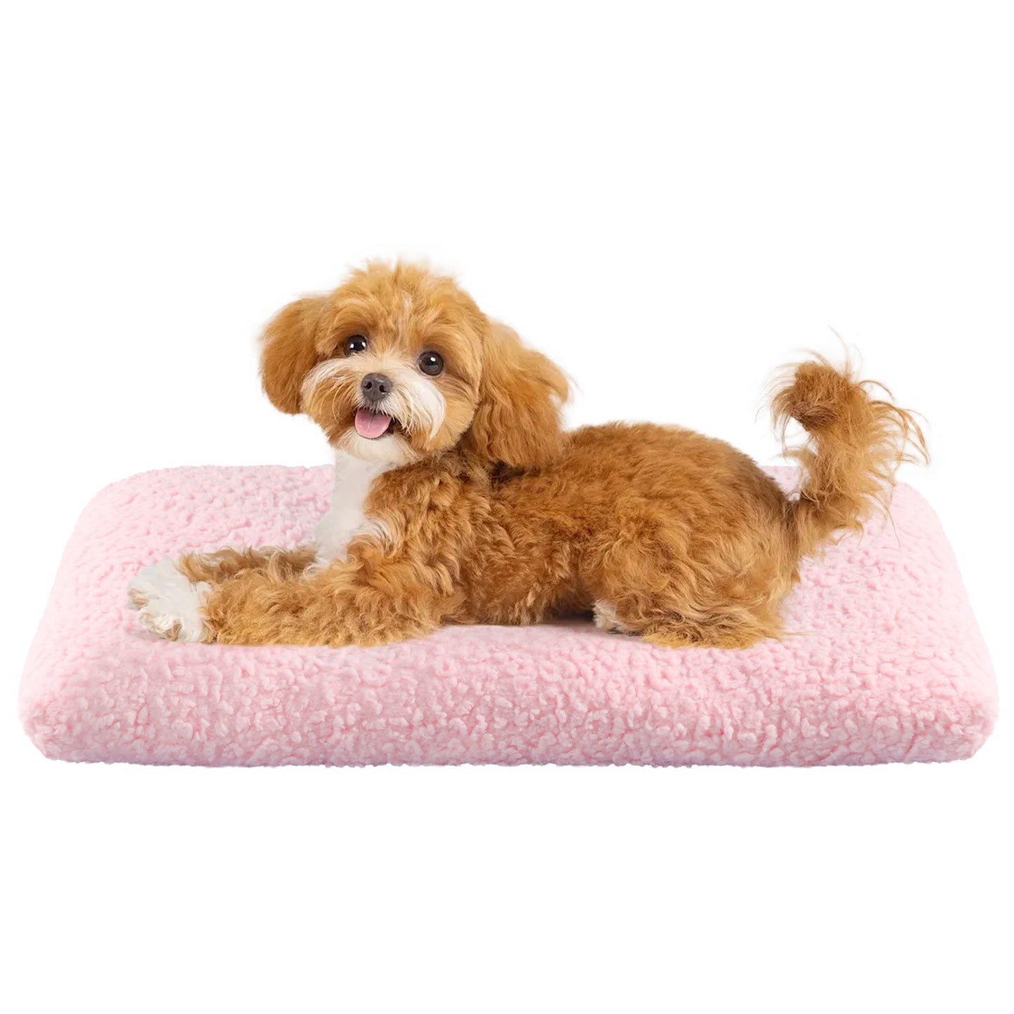 Thick Pet Bed Mattress