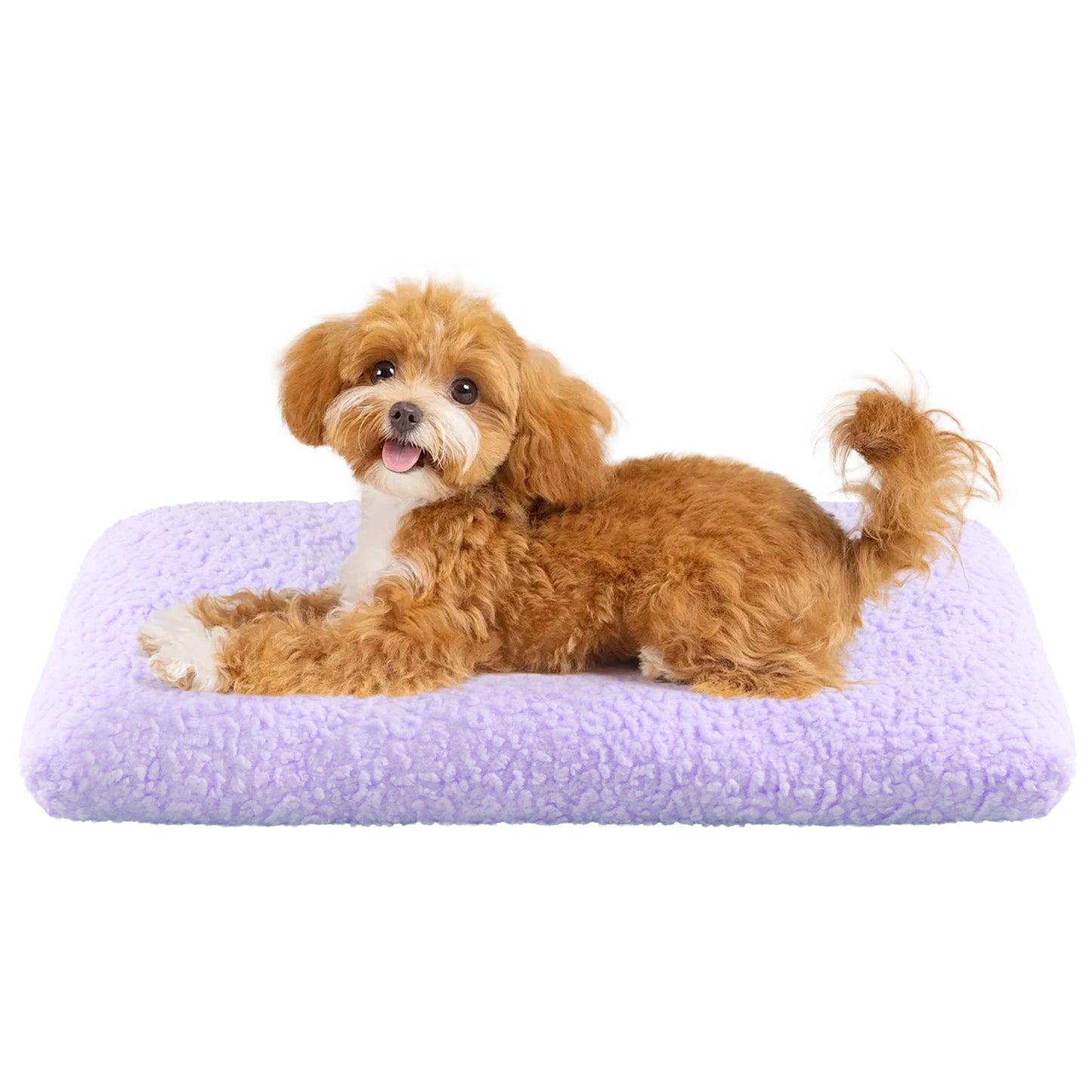 Thick Pet Bed Mattress