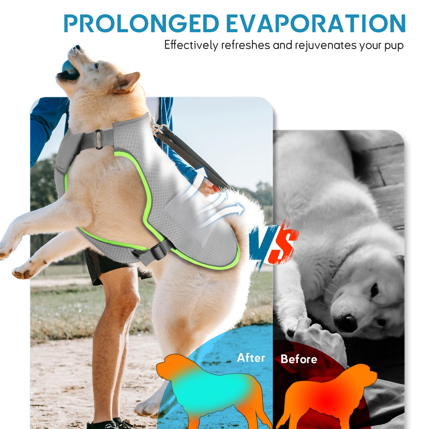 Dog Cooling Vest