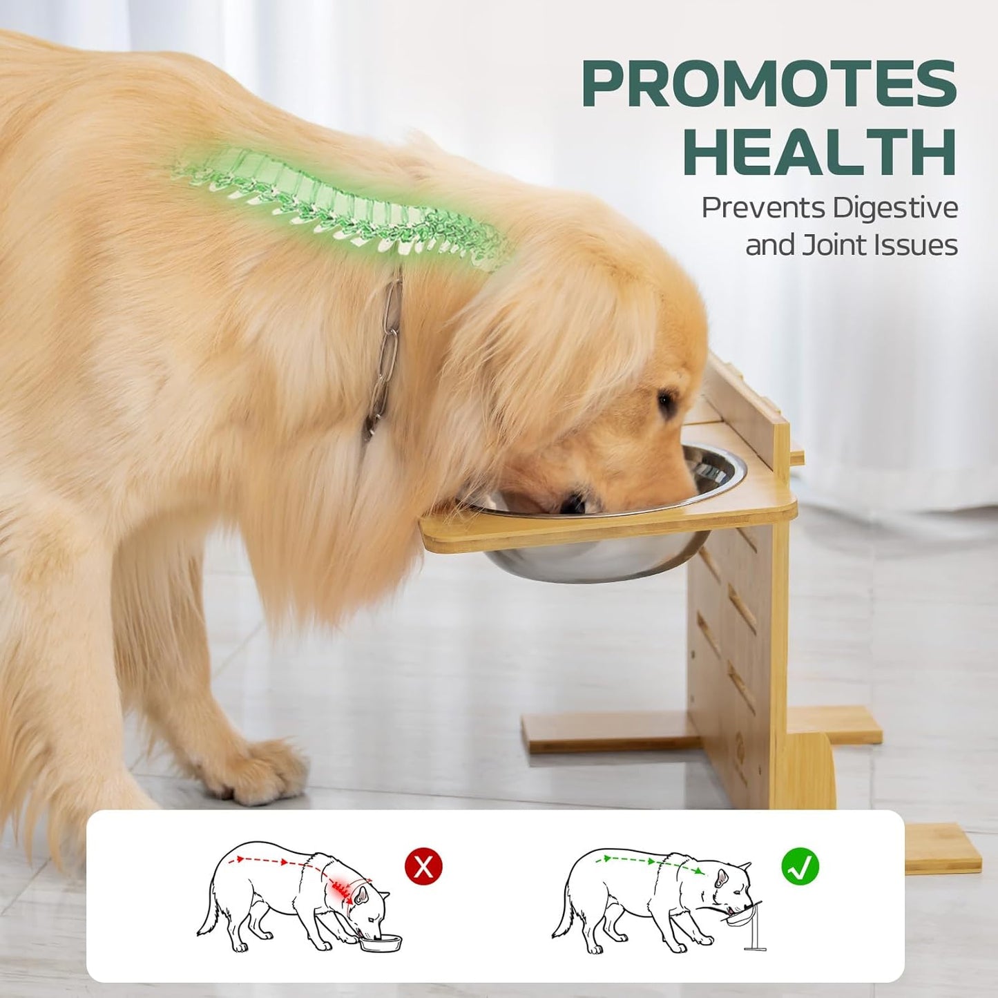Elevated Dog Bowls