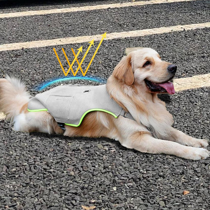 Dog Cooling Vest