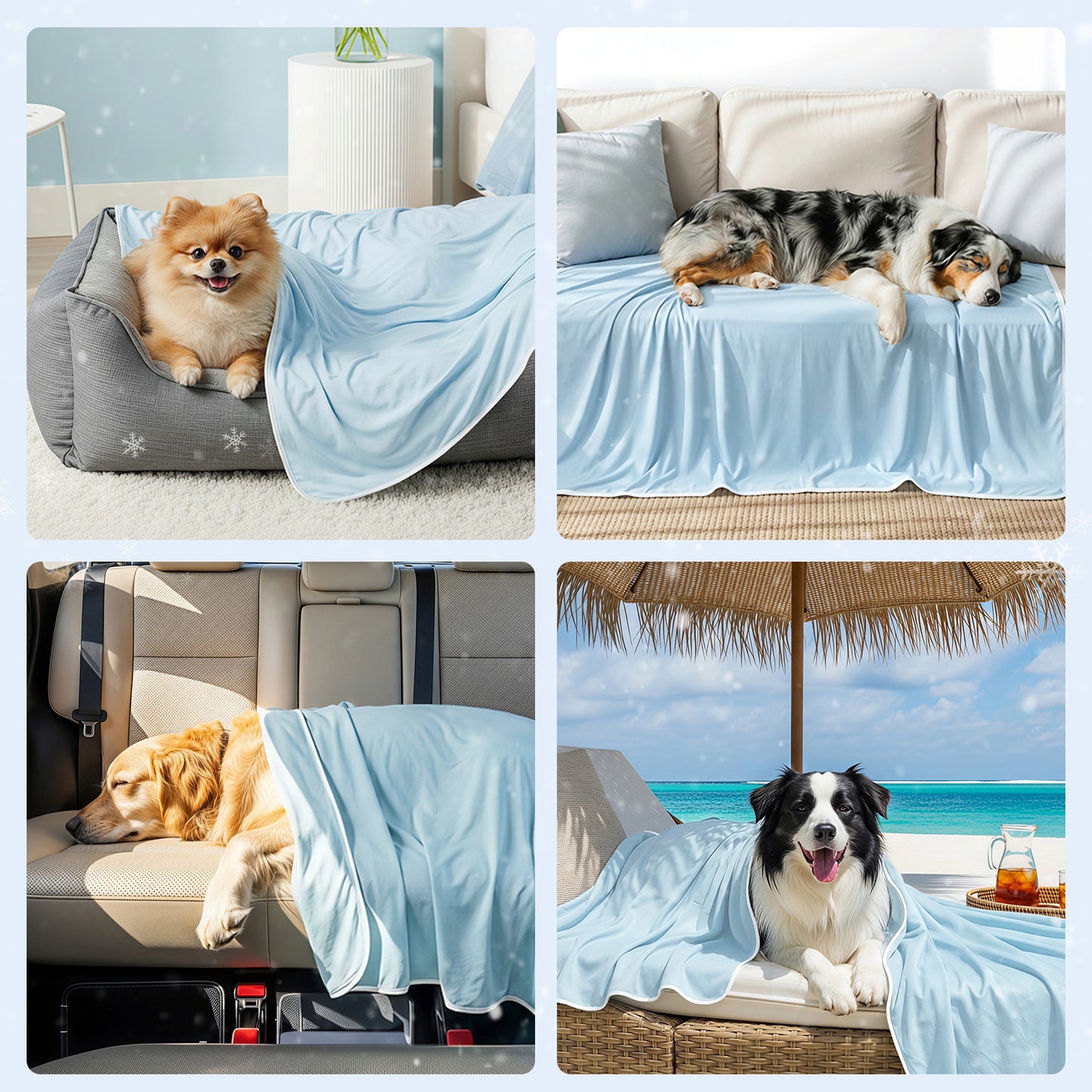 Pet Cooling Blanket