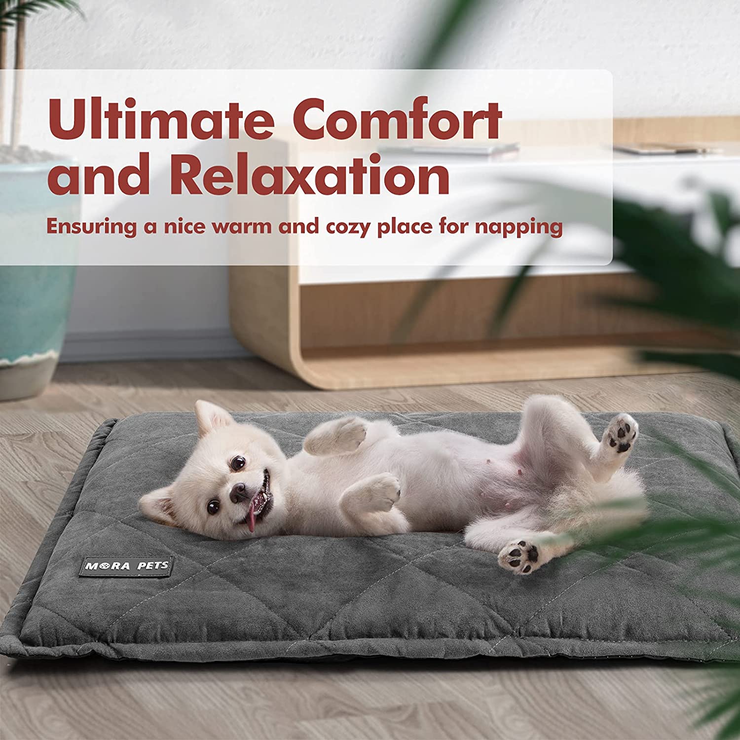 Keep Your Pet Cozy And Comfortable With This Thickened Pet Bed Mat